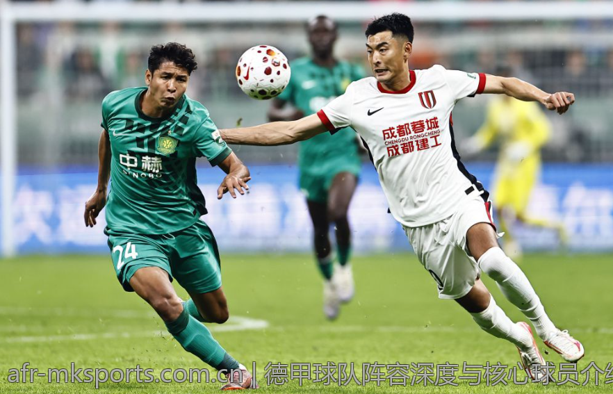 德甲球队阵容深度与核心球员介绍